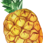 PIÑA PIÑA
